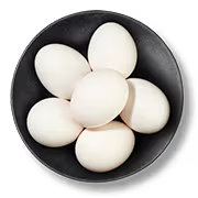 Fresh Eggs